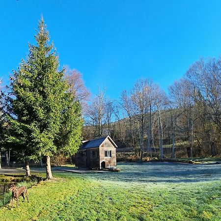 Ban-sur-Meurthe-Clefcy Insolite Tiny House Serenite Bien Etre מראה חיצוני תמונה