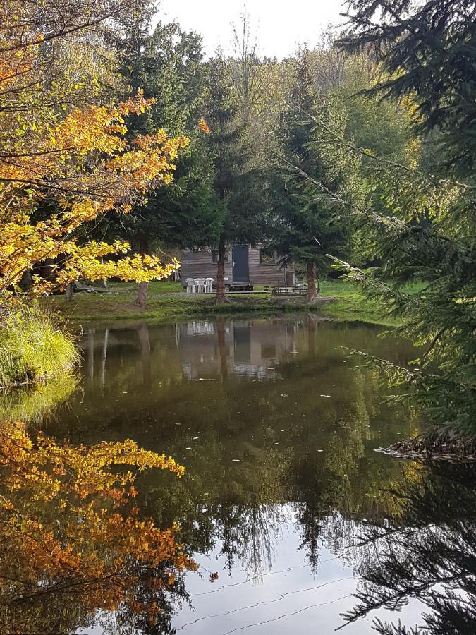 Ban-sur-Meurthe-Clefcy Insolite Tiny House Serenite Bien Etre מראה חיצוני תמונה